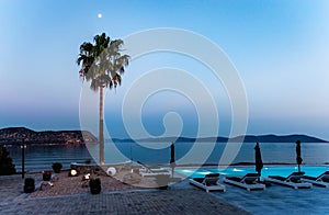 Pool by the sea, moon over a palm tree.