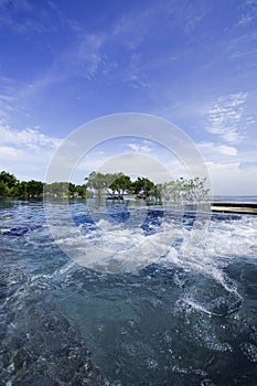 Pool with sea view