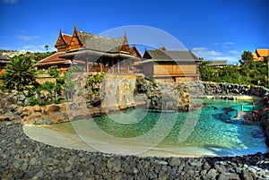 Pool and seals in Siam Park, Tenerife