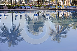 Pool side lounge chairs and palm tree reflection