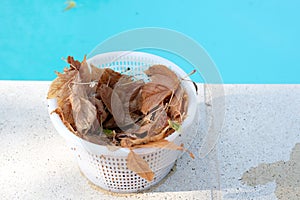 Pool skimmer basket on side of pool photo