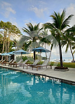 Pool in tropical resort, palms and ocean.