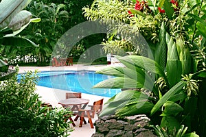 Pool in tropical setting