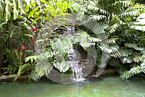 Pool with a waterfall and hot thermal water