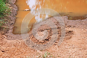POOLED WATER WITH VEHICLE TRACKS AND DISTURBANCE IN DRY MUD