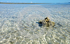 Pools of maragogi