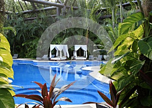 The Pools at Vidanta Riviera Maya