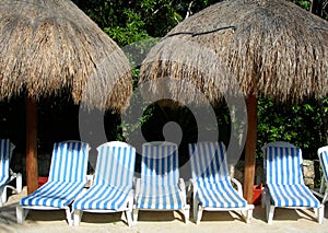 Poolside lounge chairs