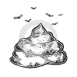 Poop with flies sketch engraving vector photo