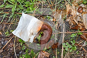 Poop, human excrement in the grass, fecal matter, or just ordinary shit, crap. Environmental Pollution.