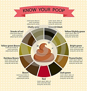 Poop Stool Color Changes Color Chart and Meaning, Healthy Concept photo