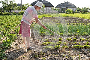 Poor farmer hoeing vegetable garden