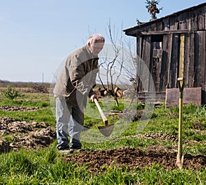 Poor farmer hoeing vegetable