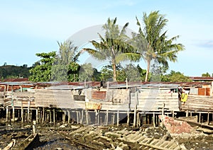 Poor houses and wreckage of boats