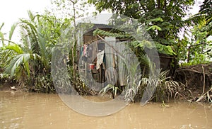 Poor hut in the jungle of Mekong Delta