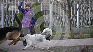 poor little girl with a dog in village