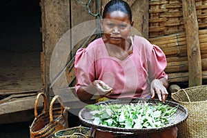 Poor Malagasy woman preparing food in front of cabin