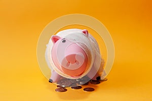 Poor injured piggy bank toy photo