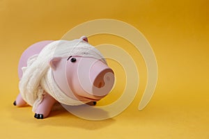 Poor piggy bank photo