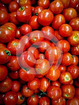 Poor quality red tomatoes with defects.