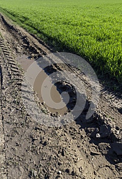 poor rural road without asphalt or other pavement