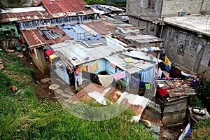 Poor Shanty Town of Tea Pickers photo