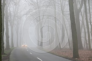 Poor visibility from fog in winter morning: View on german country road through forest with bare trees and headlights of car