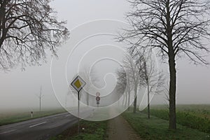 Poor visibility from fog in winter morning: View on german empty country road through rural landscape with bare trees