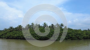 Poovar lake and mangrove forest, Thiruvananthapuram, Kerala