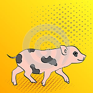 Pop Art Background Pig Pet Mini Pig. Vector of a vintage, retro style comic strip