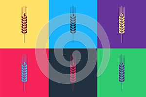 Pop art Cereals icon set with rice, wheat, corn, oats, rye, barley icon isolated on color background. Ears of wheat