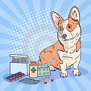 Pop Art Corgi Dog with Medication Pills and Tablets. Pet Health Care