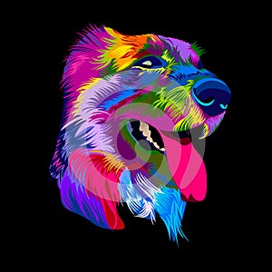 Pop art dog. Vector illustration colorful dog muzzle.