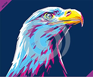 Pop art portrait of agressive eagle. Vector illustration