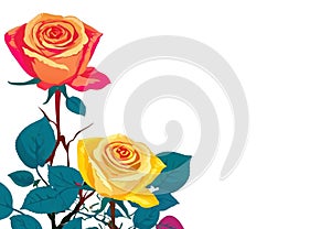 Pop Art Roses Frame with Transparent Background