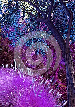 Pop art surreal style purple and blue fantasy garden