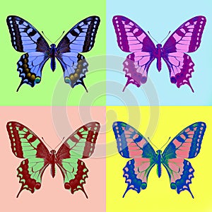 Pop art swallowtail (Papilio machaon)