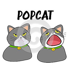 Popcat. Cat open mouth and close mouth. Vector illustration