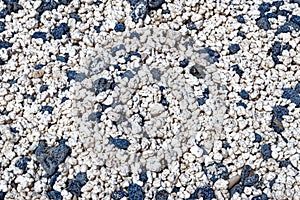 Popcorn Beach Closeup - Spain, Canary Islands, Fuerteventura photo