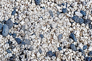 Popcorn Beach Closeup - Spain, Canary Islands, Fuerteventura photo