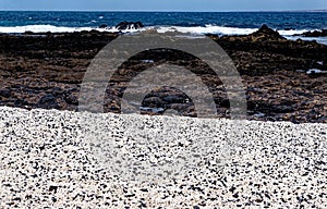 Popcorn Beach - Spain, Canary Islands, Fuerteventura photo