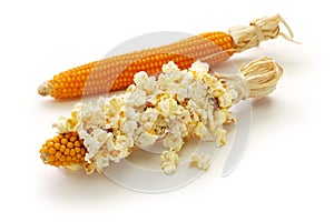 Popcorn on the cob isolated on white background