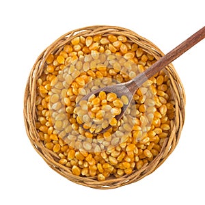 Popcorn corn. Raw grain in a bowl