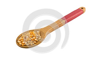 Popcorn corn. Raw grain in a spoon