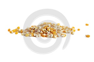Popcorn kernels isolated photo