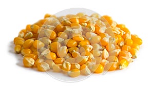 Popcorn Seed Pile