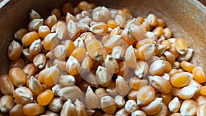 Popcorn seeds on wooden background.