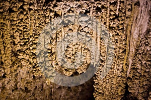 Popcorn & Stalactites In Carlsbad Caverns