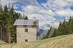 Pope`s path near Lorenzago di Cadore