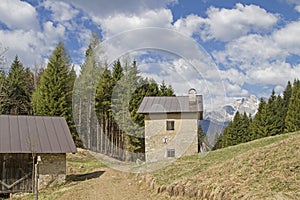 Pope`s path near Lorenzago di Cadore